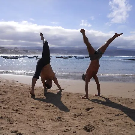 Palmeras Del Sur Pensionat